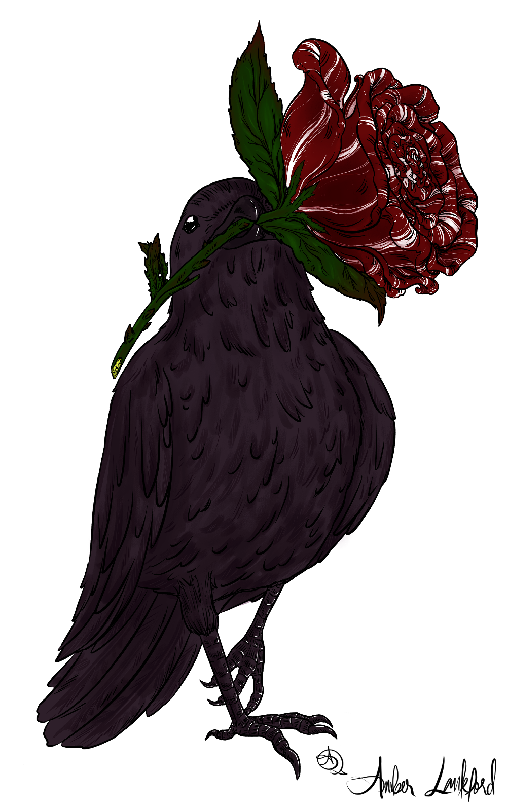 Crow & Rose